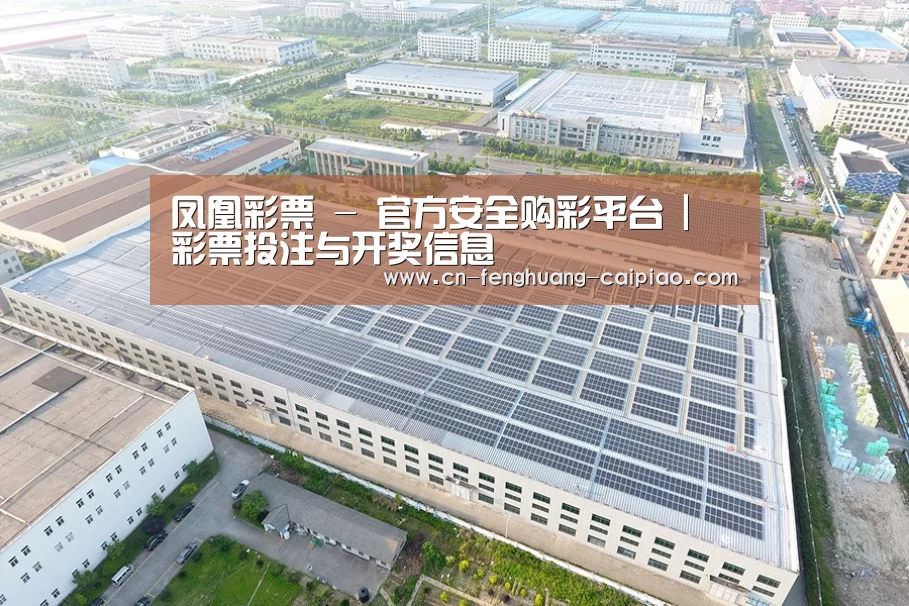 案例展示二
