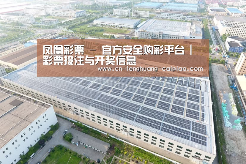 案例展示三
