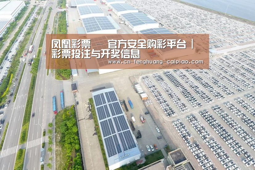 案例展示二