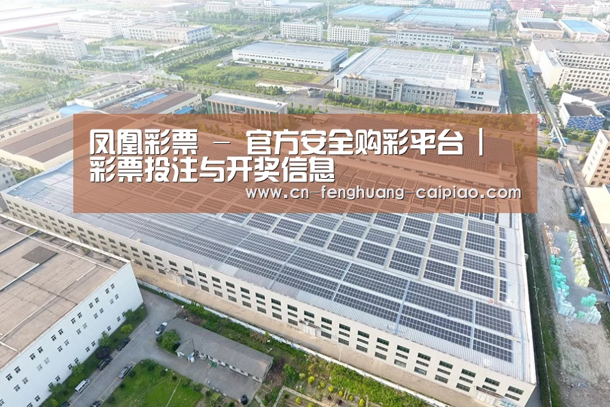 案例展示四
