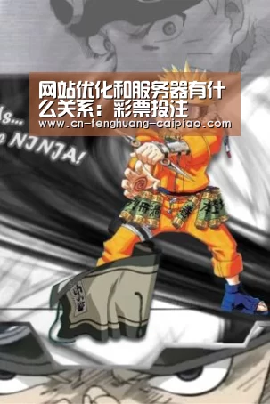 网站优化和服务器有什么关系:彩票投注(图3) 福彩