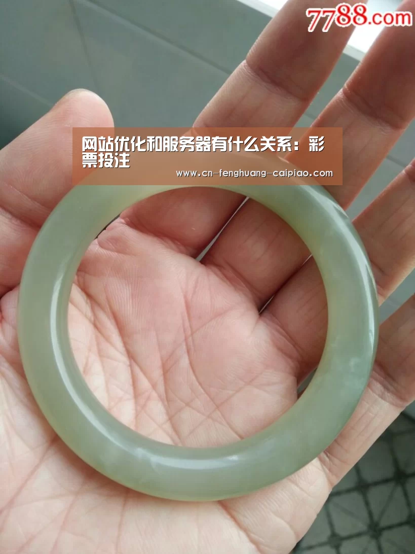网站优化和服务器有什么关系:彩票投注(图2) 福彩